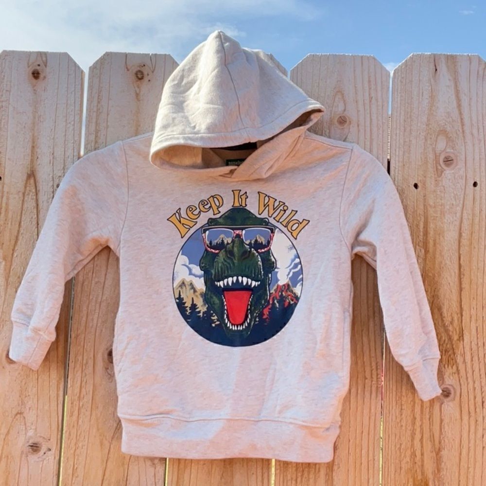 Take 50% OFF- Garanimals Boy’s Sweater  Hoodie, Size-4